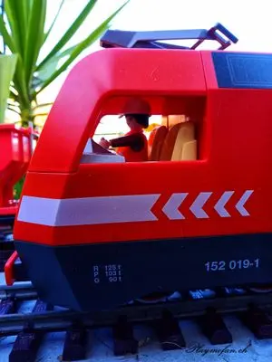 Playmobil Die Gartenbahn – der Bau – Foto 127 von 130