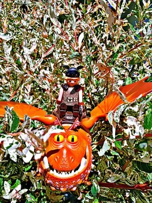 Playmobil Dragons – Foto 10 von 10