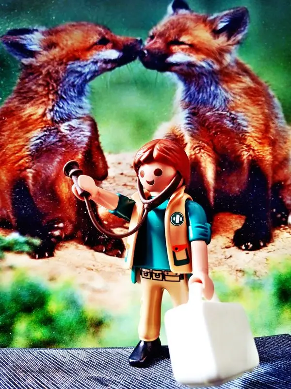 Playmobil Berufe – Titelbild des Albums (Figuren)