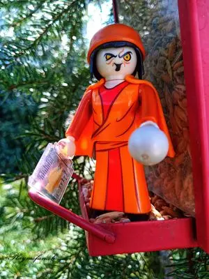 Playmobil Fantasy – Foto 21 von 30