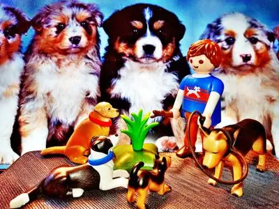 Playmobil Freizeit – Foto 12 von 49