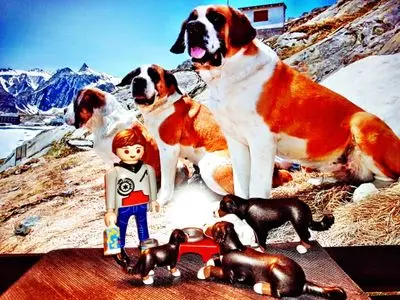 Playmobil Freizeit – Foto 13 von 49