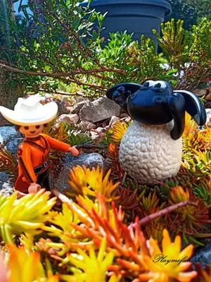 Playmobil Freizeit – Foto 45 von 49