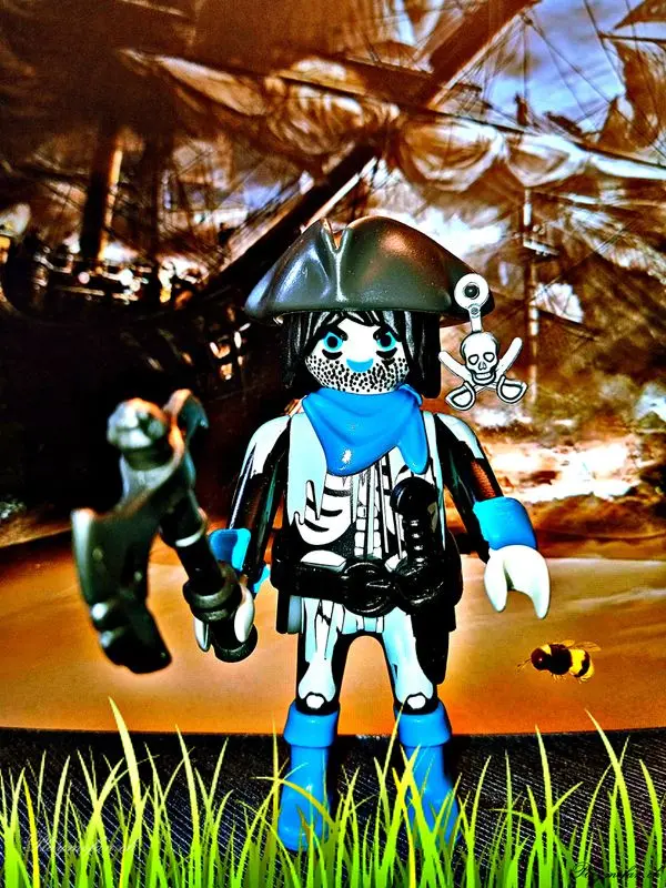 Playmobil Piraten – Titelbild des Albums (Figuren)