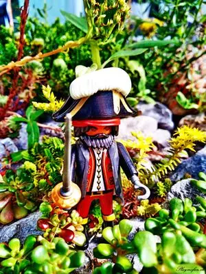 Playmobil Piraten – Foto 5 von 13