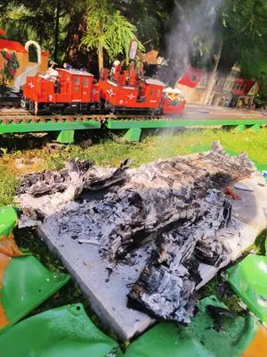 Playmobil Der Grossbrand – Foto 18 von 25