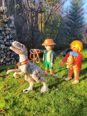 Playmobil Dino-Spaziergang – Foto 5 von 6
