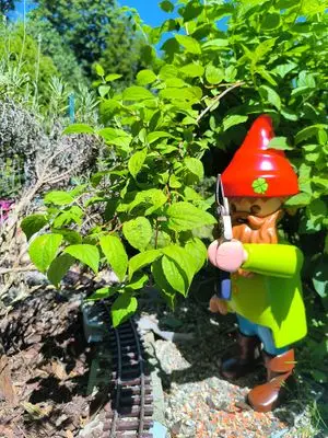 Playmobil Gartenarbeit – Foto 3 von 11